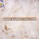 Duck down for wholesale filling material white feather